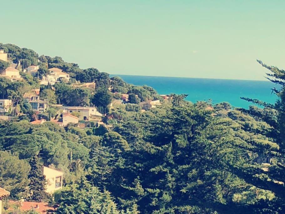 Maison St Clair Vue Mer Sete Ngoại thất bức ảnh